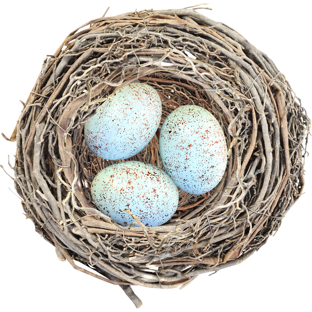 Nest Transparent Photo