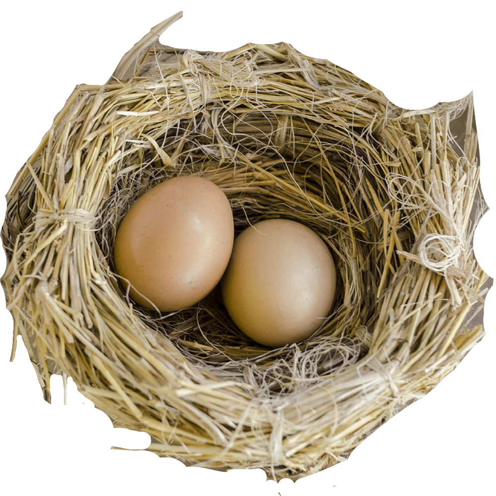 Nest Transparent Clipart
