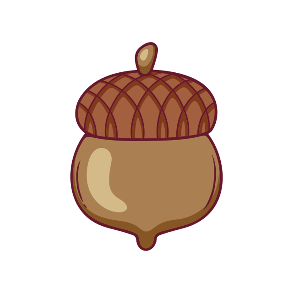 Acorn Free Sticker Transparent Image