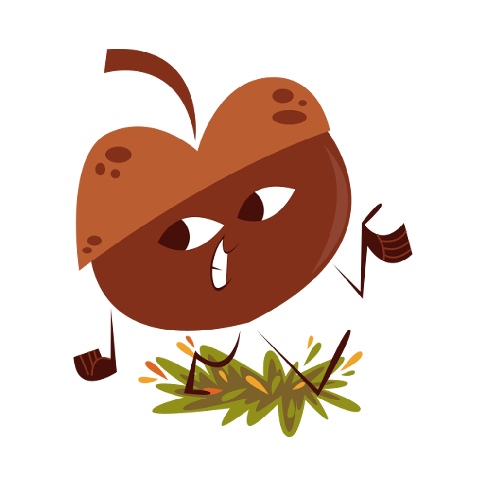 Acorn Free Sticker Transparent Gallery