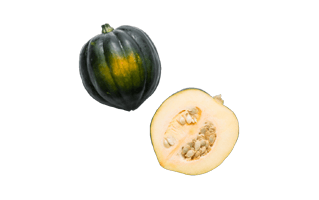 Acorn Squash PNG