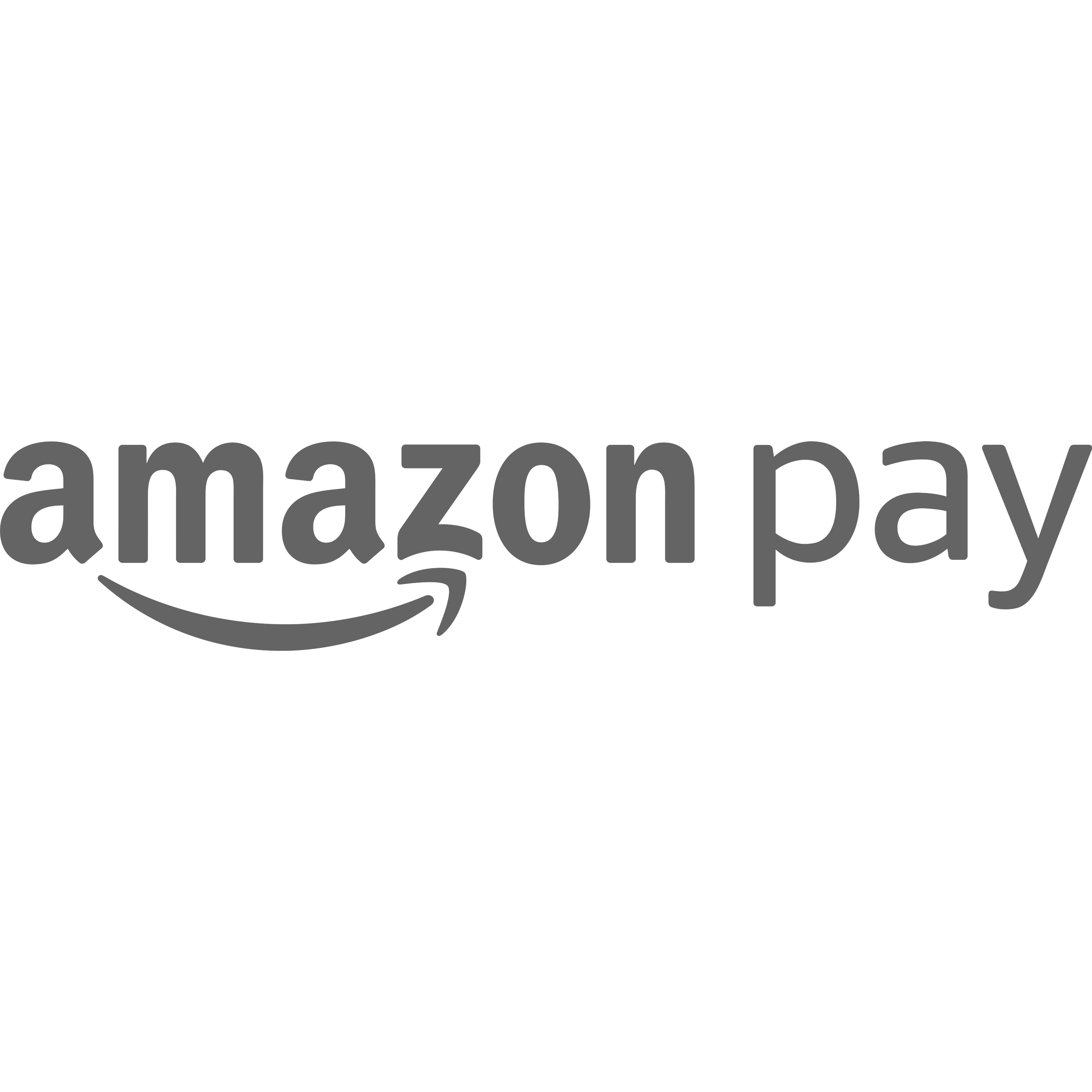 Amazon Pay Logo Transparent Picture
