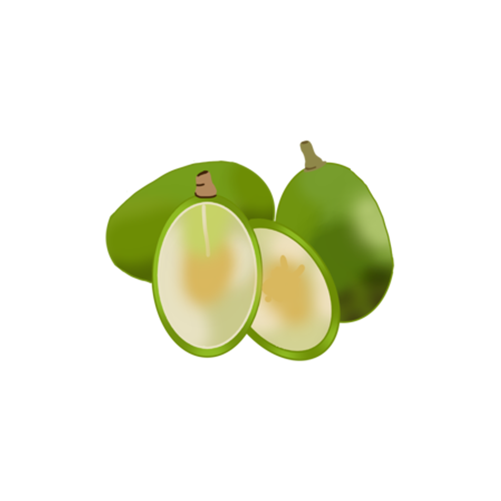 Ambarella Sticker Transparent Picture
