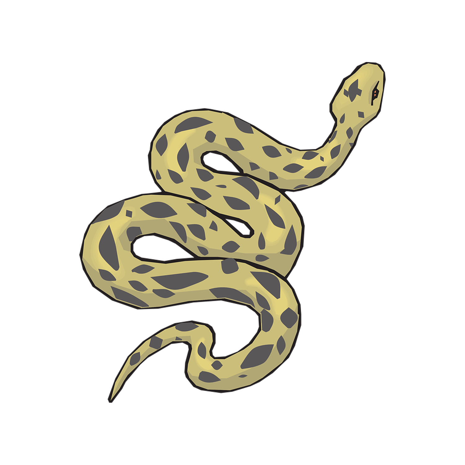 Anaconda Transparent Picture