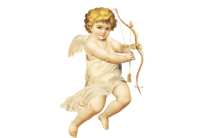 Angel PNG