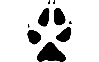 Animal Paw PNG