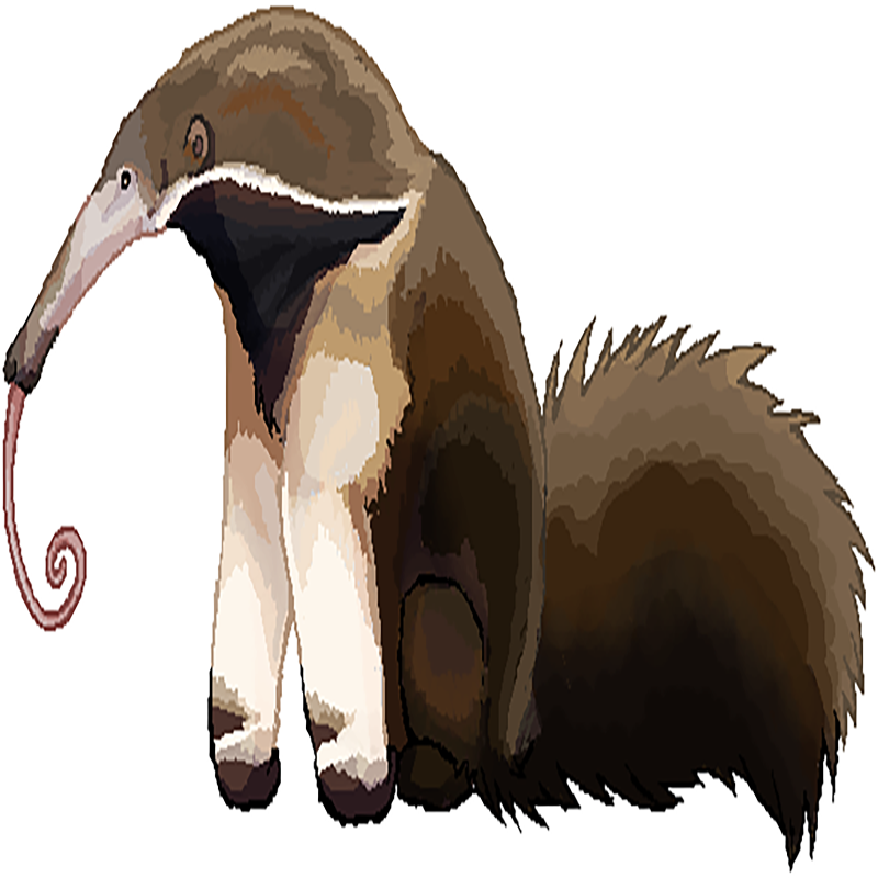 Anteater Transparent Image