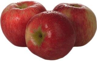 Apples PNG