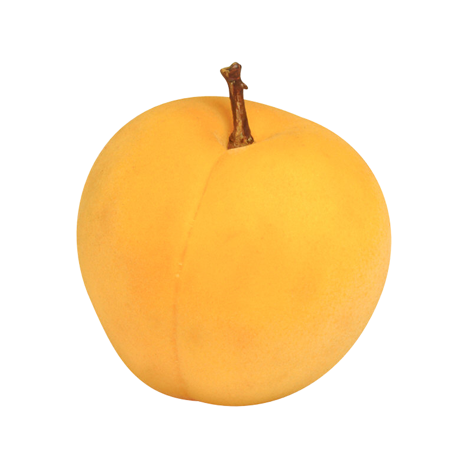Apricot Transparent Picture