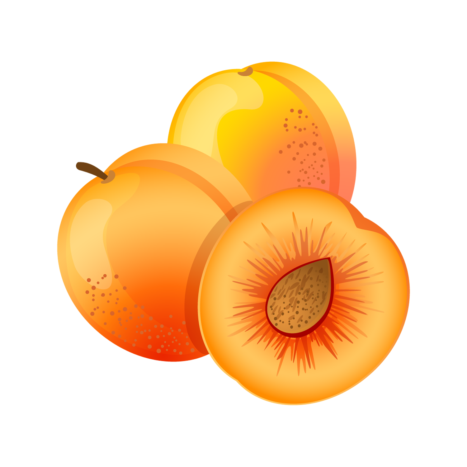 Apricot Transparent Clipart