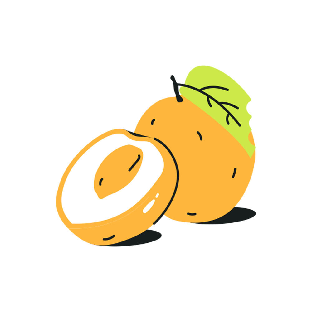 Apricot Free Sticker Transparent Image