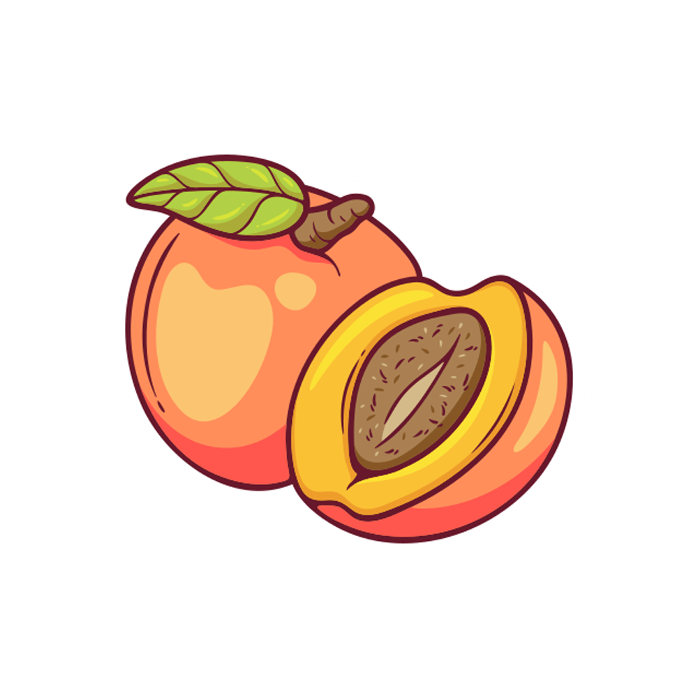 Apricot Free Sticker Transparent Photo