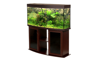 Aquarium Furniture PNG