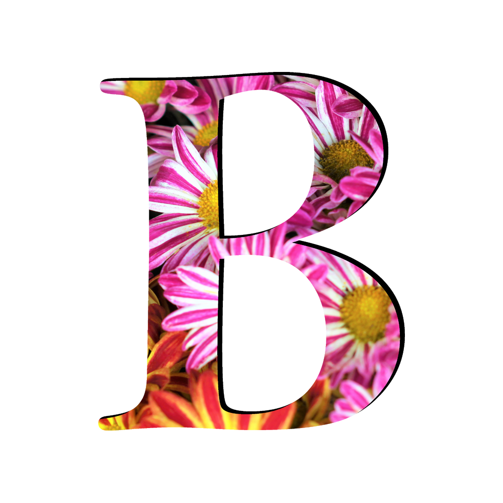 B Alphabet Transparent Photo