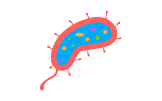 Bacterias Free Sticker PNG