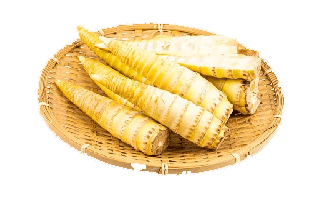 Bamboo Shoots PNG