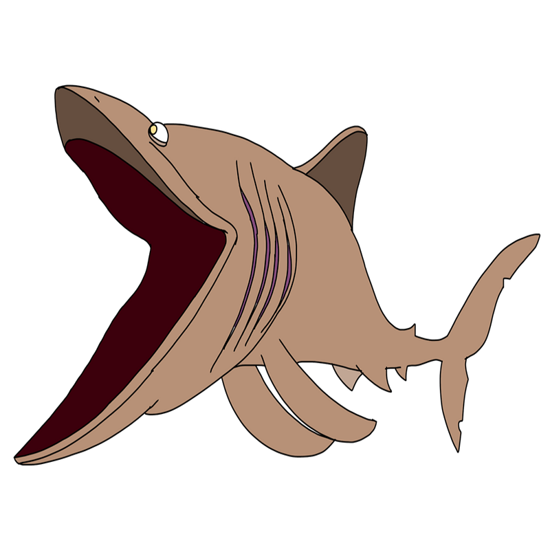 Basking Shark Transparent Clipart