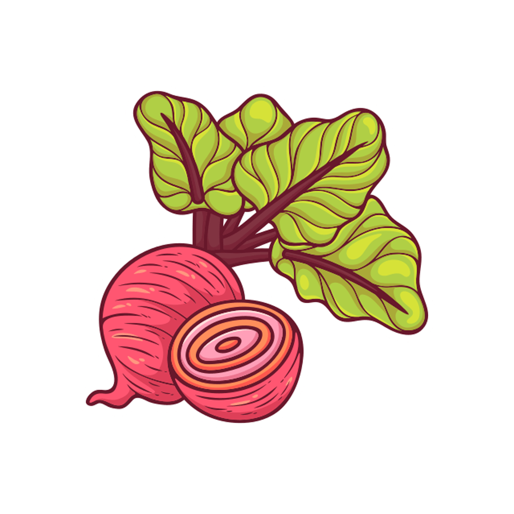 Beetroot Free Sticker Transparent Image