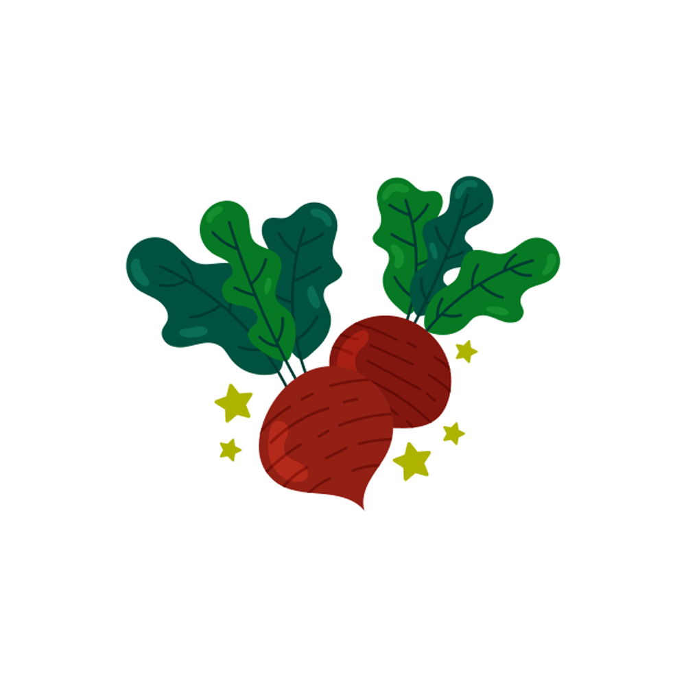 Beetroot Free Sticker Transparent Picture