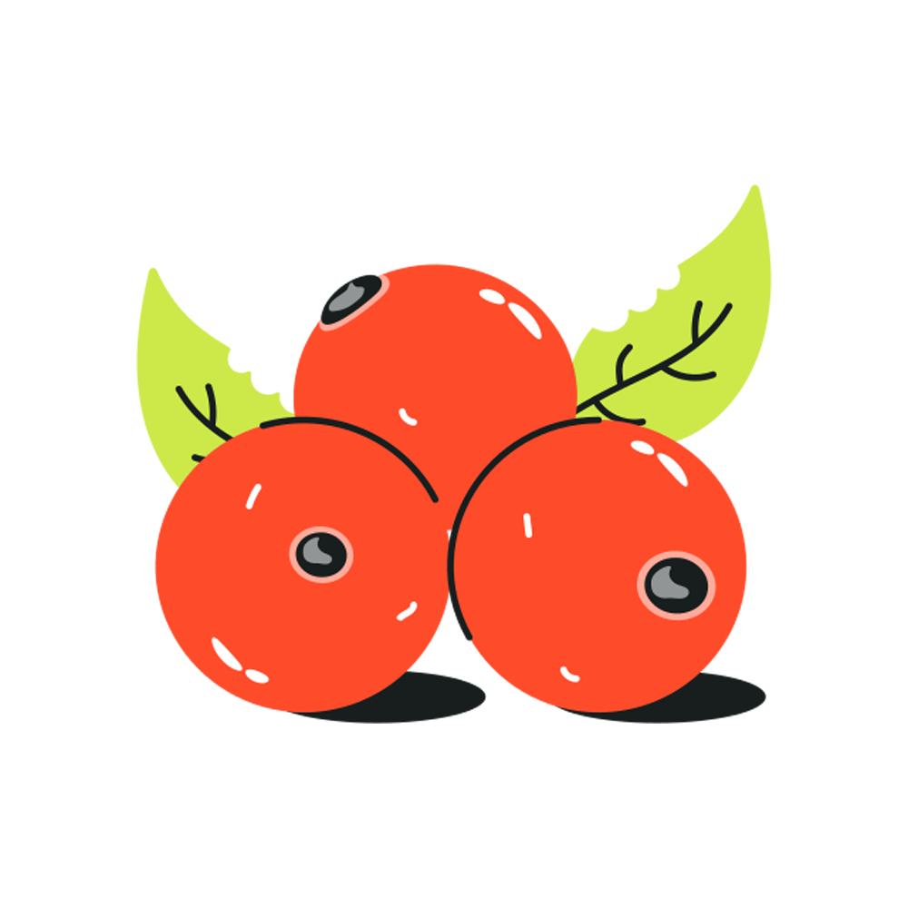 Berries Free Sticker Transparent Image