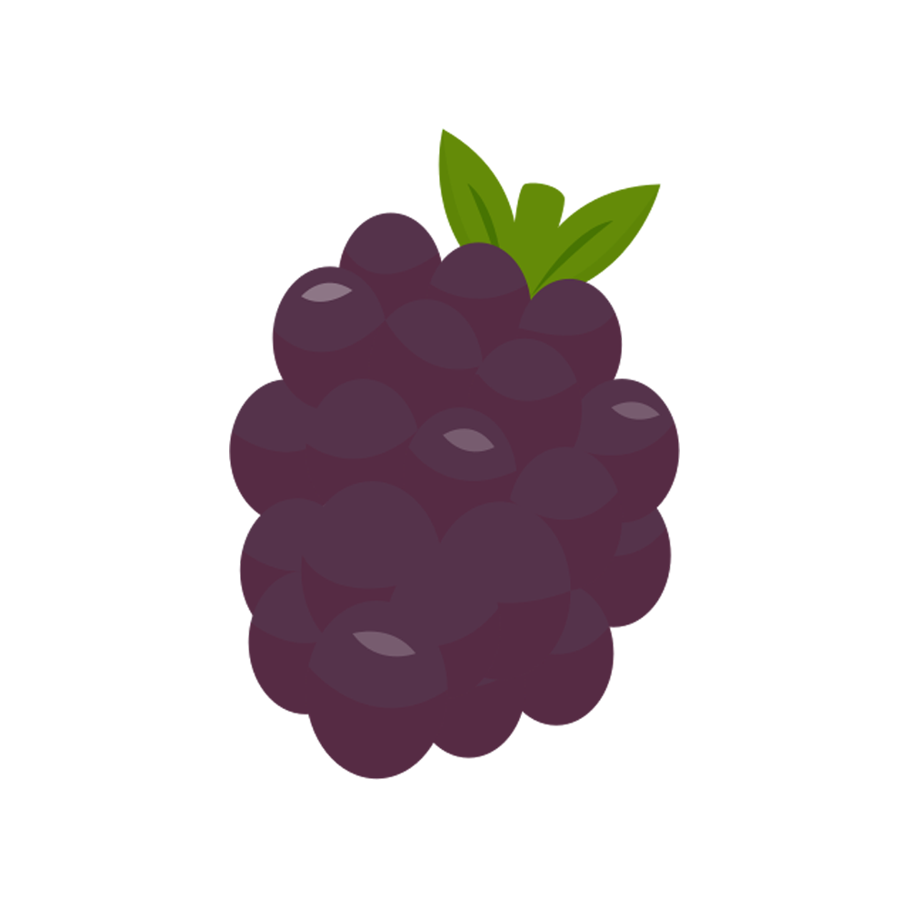 Berries Free Sticker Transparent Picture