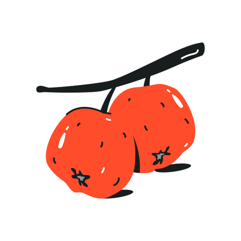 Berries Free Sticker Transparent Clipart