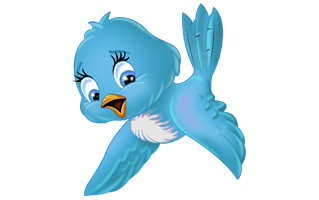 Bird Cartoon PNG