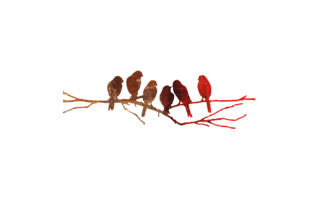 Bird Sticker PNG