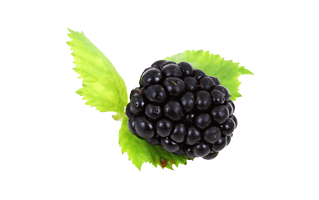 Black Raspberry PNG
