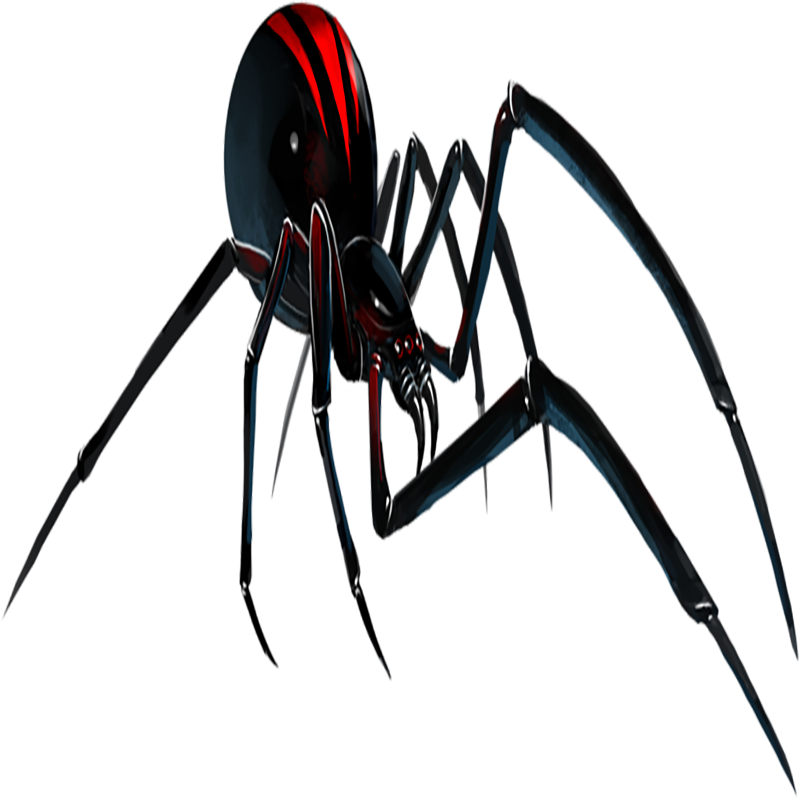 Black Widow Spider Transparent Gallery