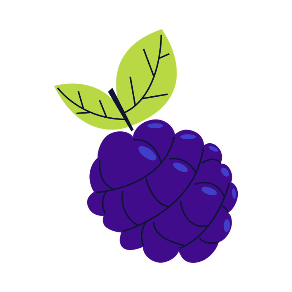 Blackberry Free Sticker Transparent Image