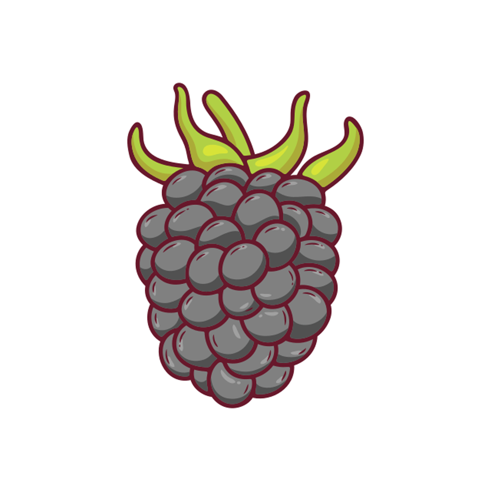 Blackberry Free Sticker Transparent Photo