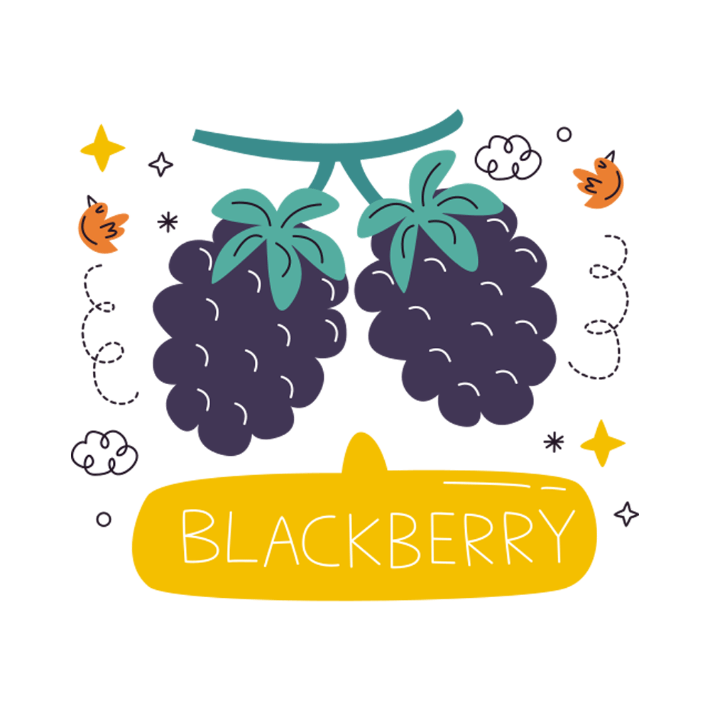 Blackberry Free Sticker Transparent Picture