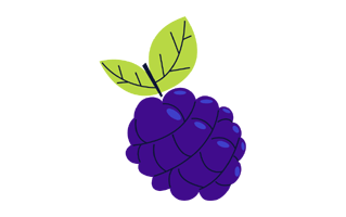 Blackberry Free Sticker PNG