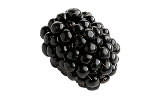 Blackberry