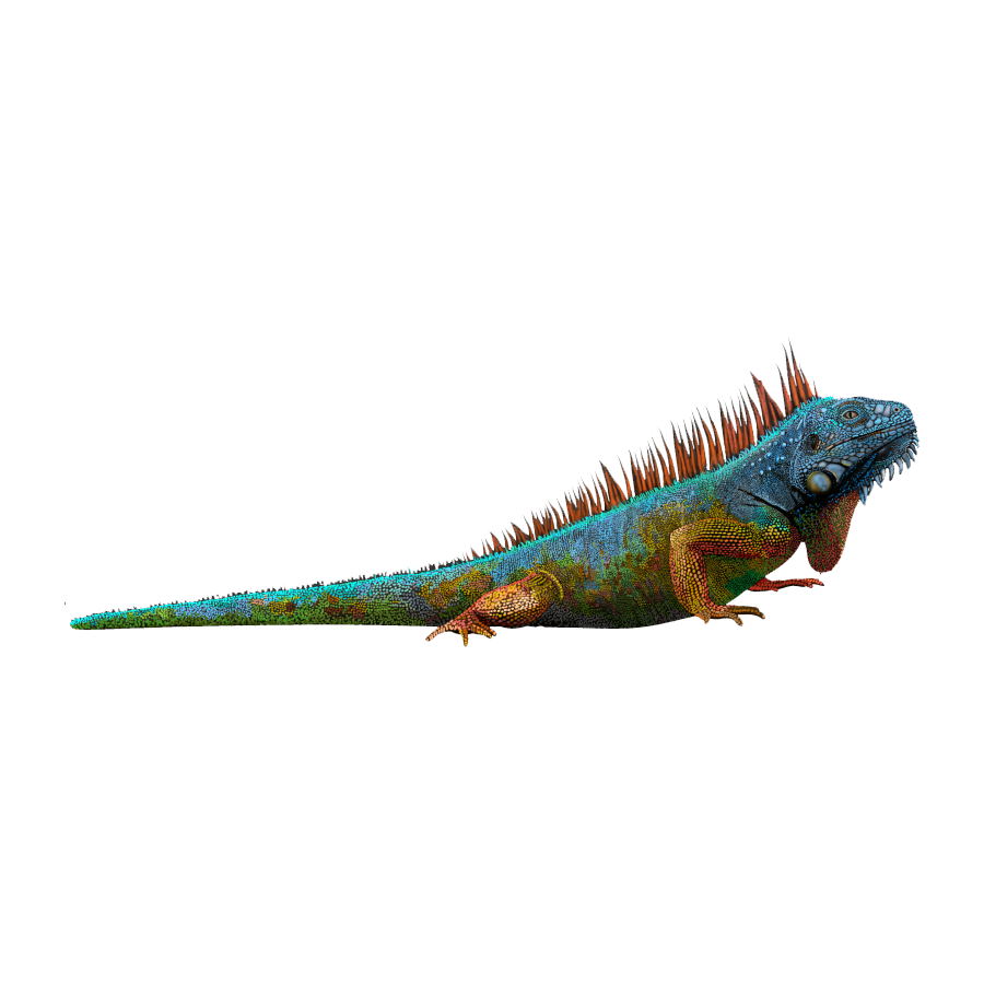 Blue Iguana Transparent Picture