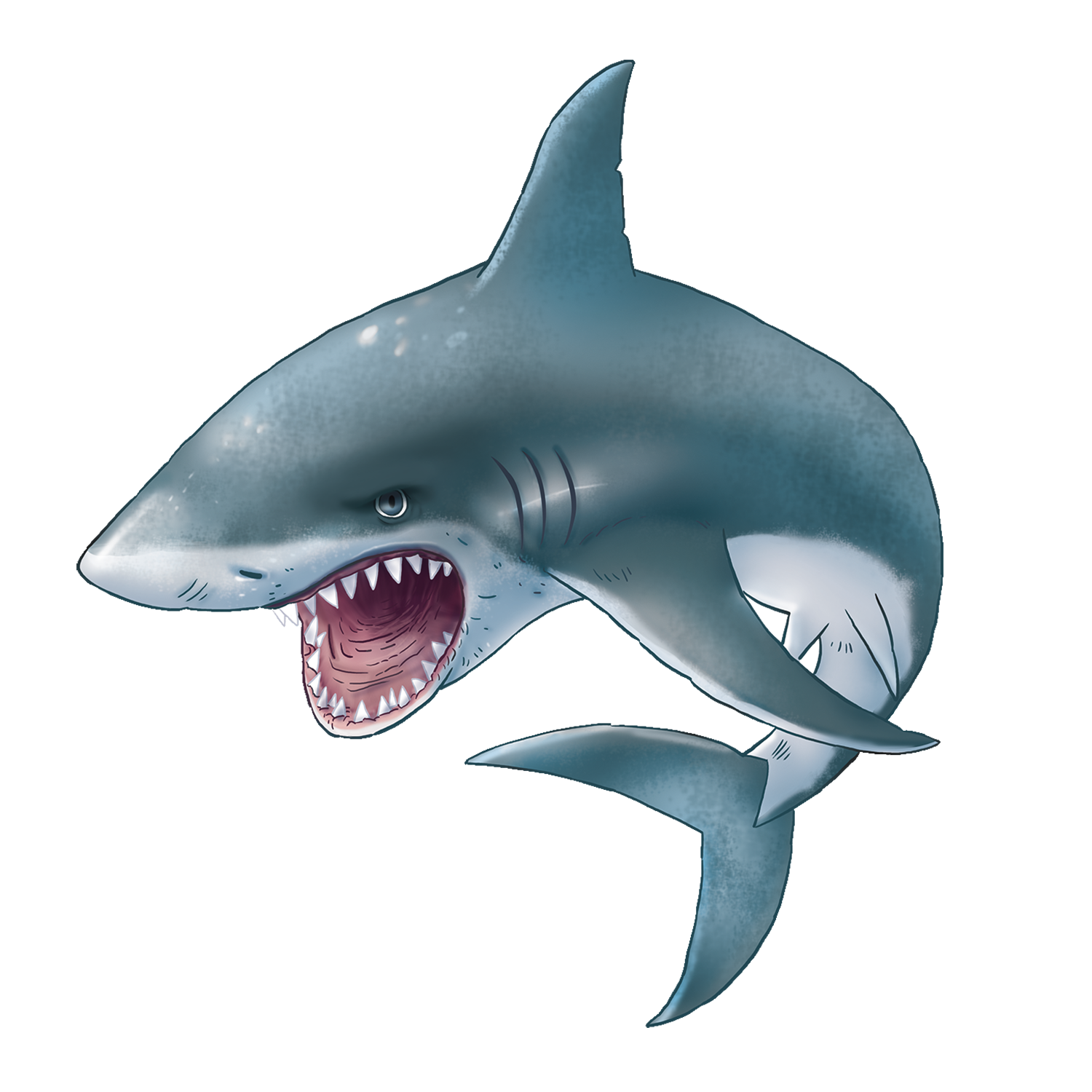 Blue Shark Transparent Clipart
