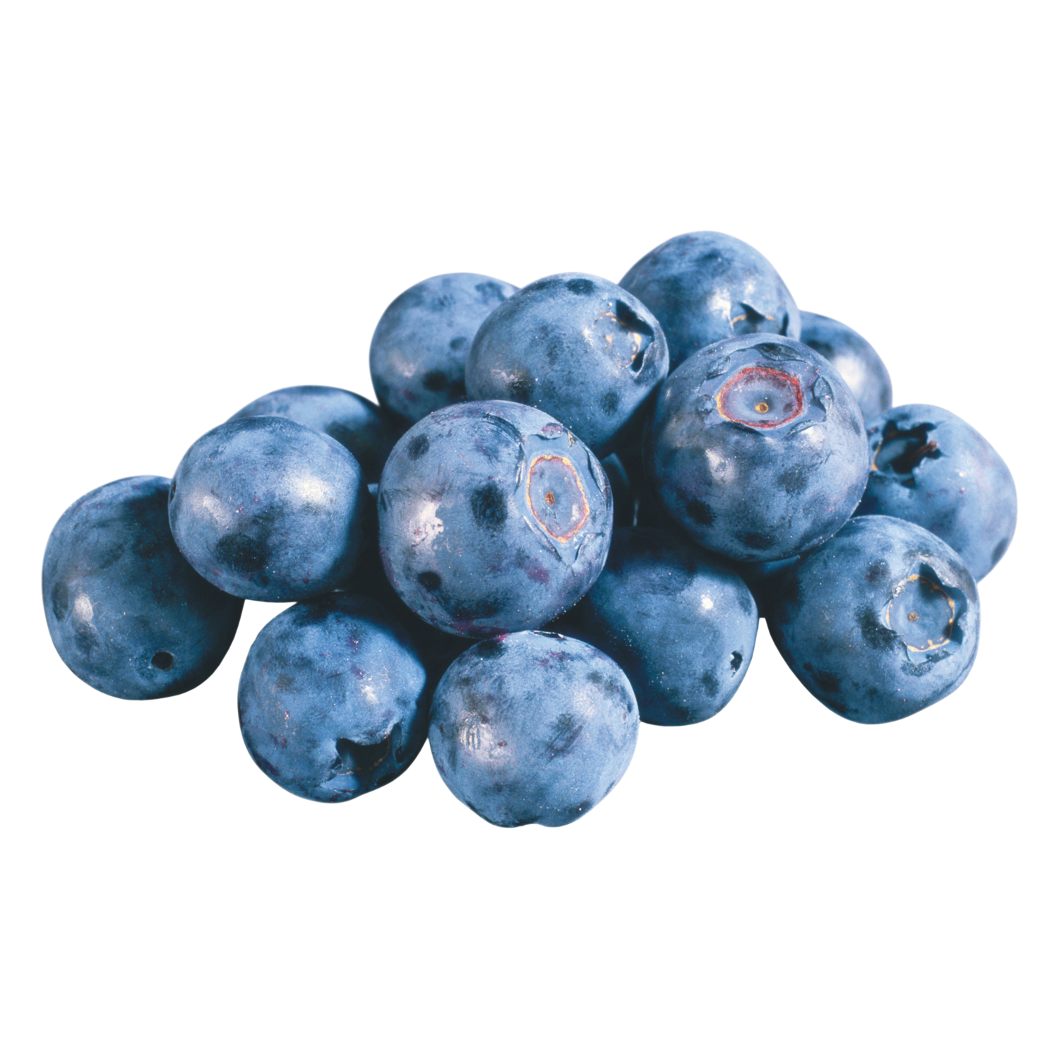 Blueberries Transparent Picture
