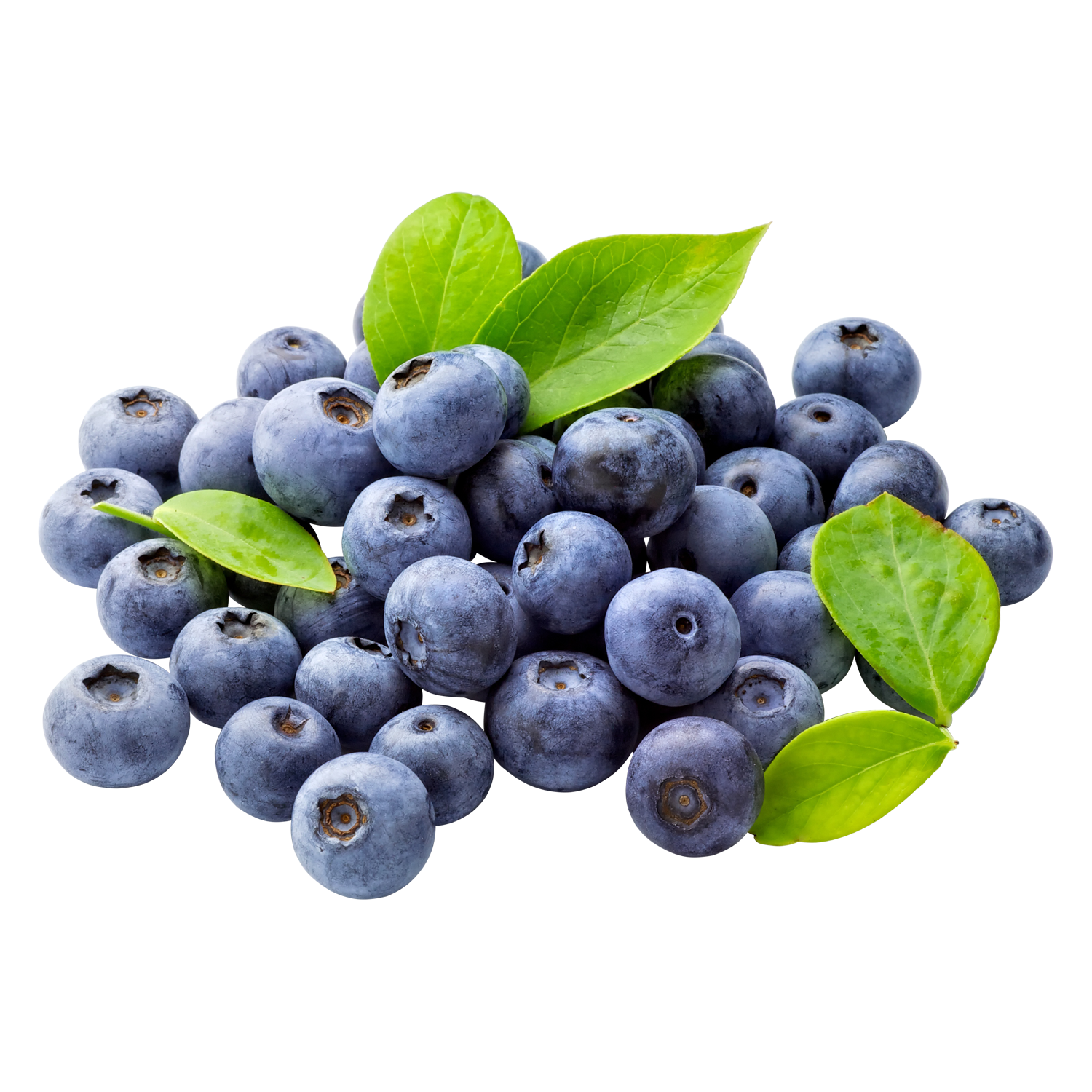 Blueberries Transparent Clipart