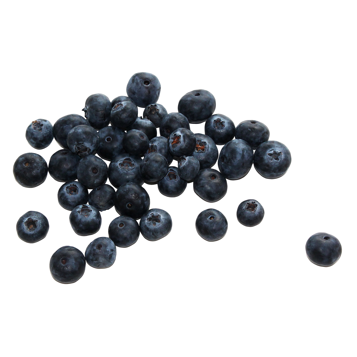 Blueberries Transparent Gallery