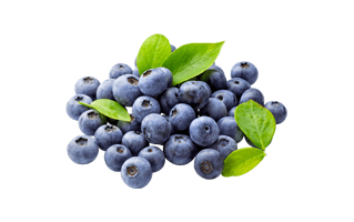 Blueberry PNG