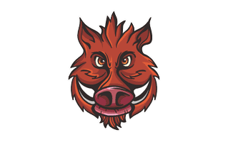 Boar