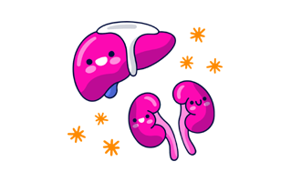 Body Organ Free Sticker PNG