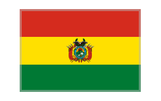 Bolivian Flag PNG