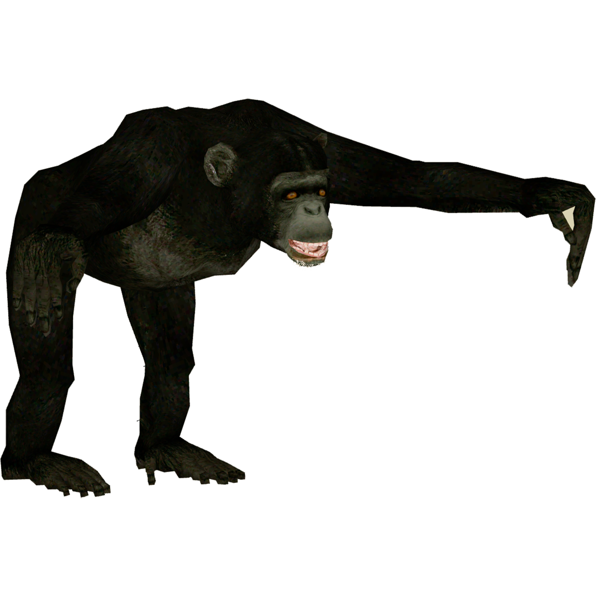 Bonobo Transparent Picture
