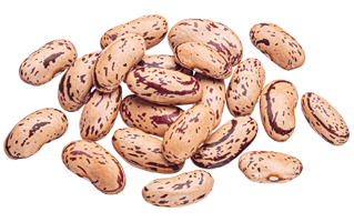 Borlotti Beans PNG
