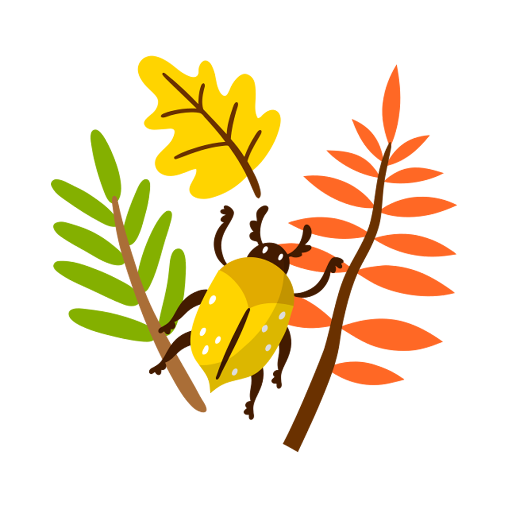 Branch Free Sticker Transparent Image