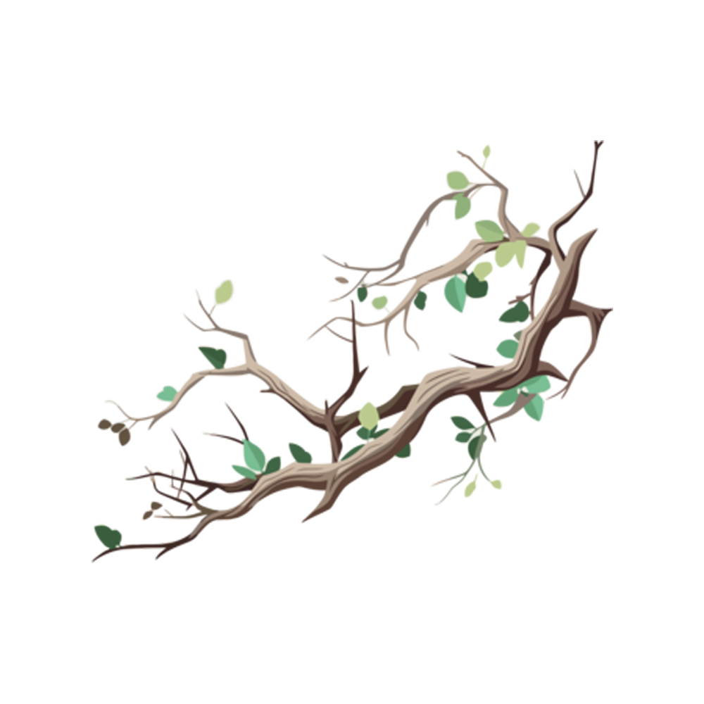 Branch Free Sticker Transparent Gallery