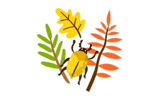 Branch Free Sticker PNG