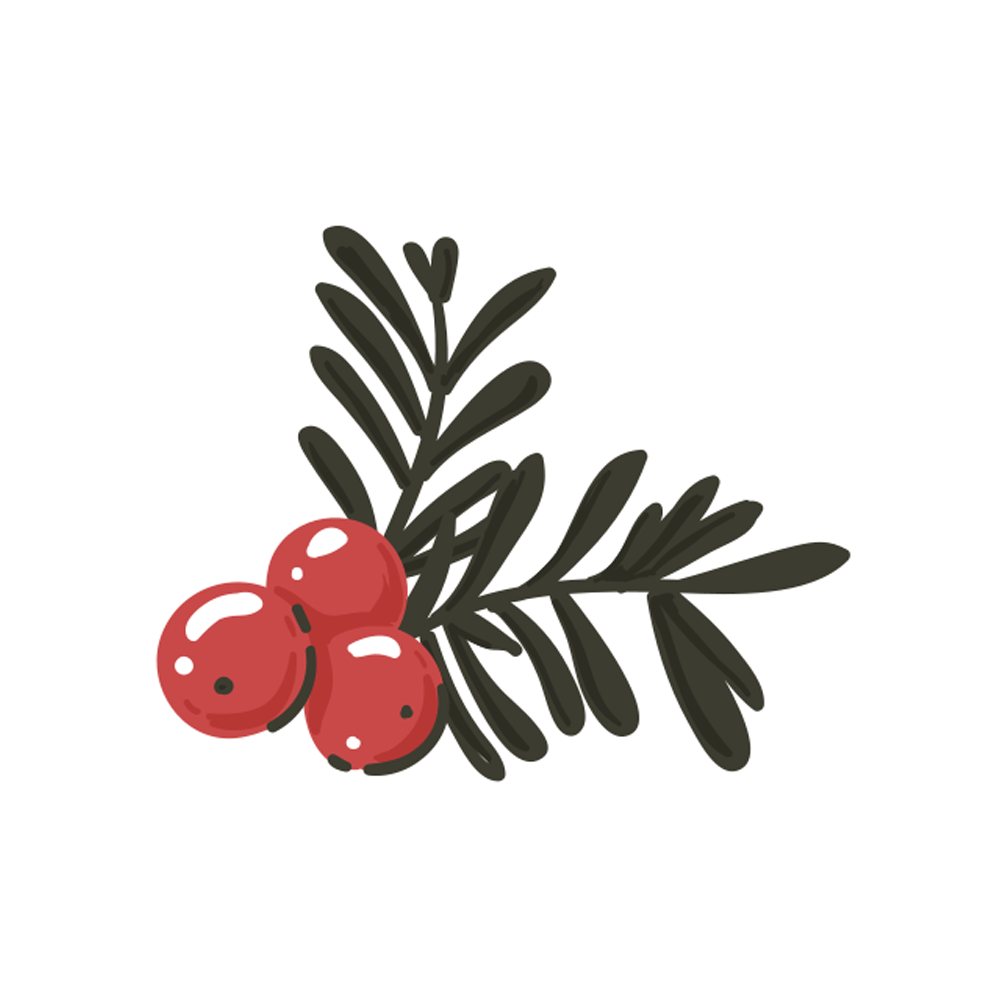 Branch Sticker Transparent Picture